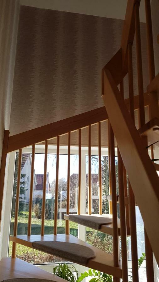 Ferienhaus Bogsi Müllrose Zewnętrze zdjęcie